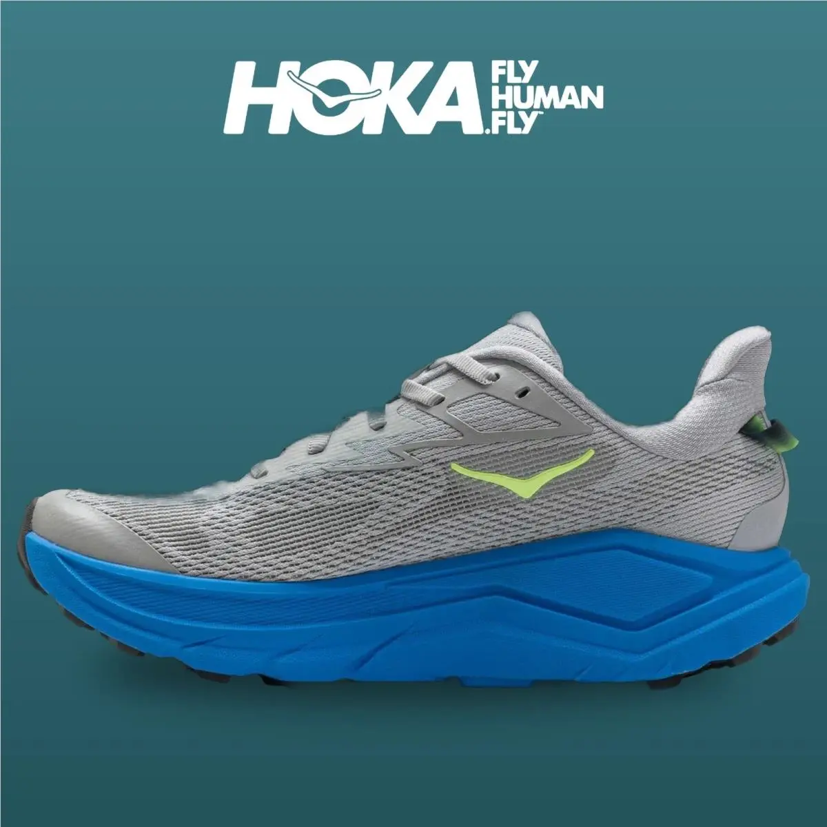 Hoka shoes - Challenger 8 - Challenger - 1168716-STVR - Stardust/Virtual Blue 7