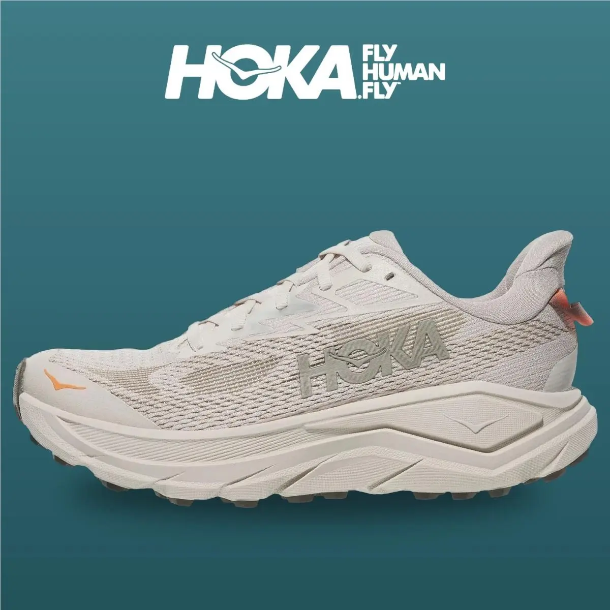 Hoka shoes - Challenger 8 - Challenger - 1168717-SPHL - Stucco/Asphalt Grey 9