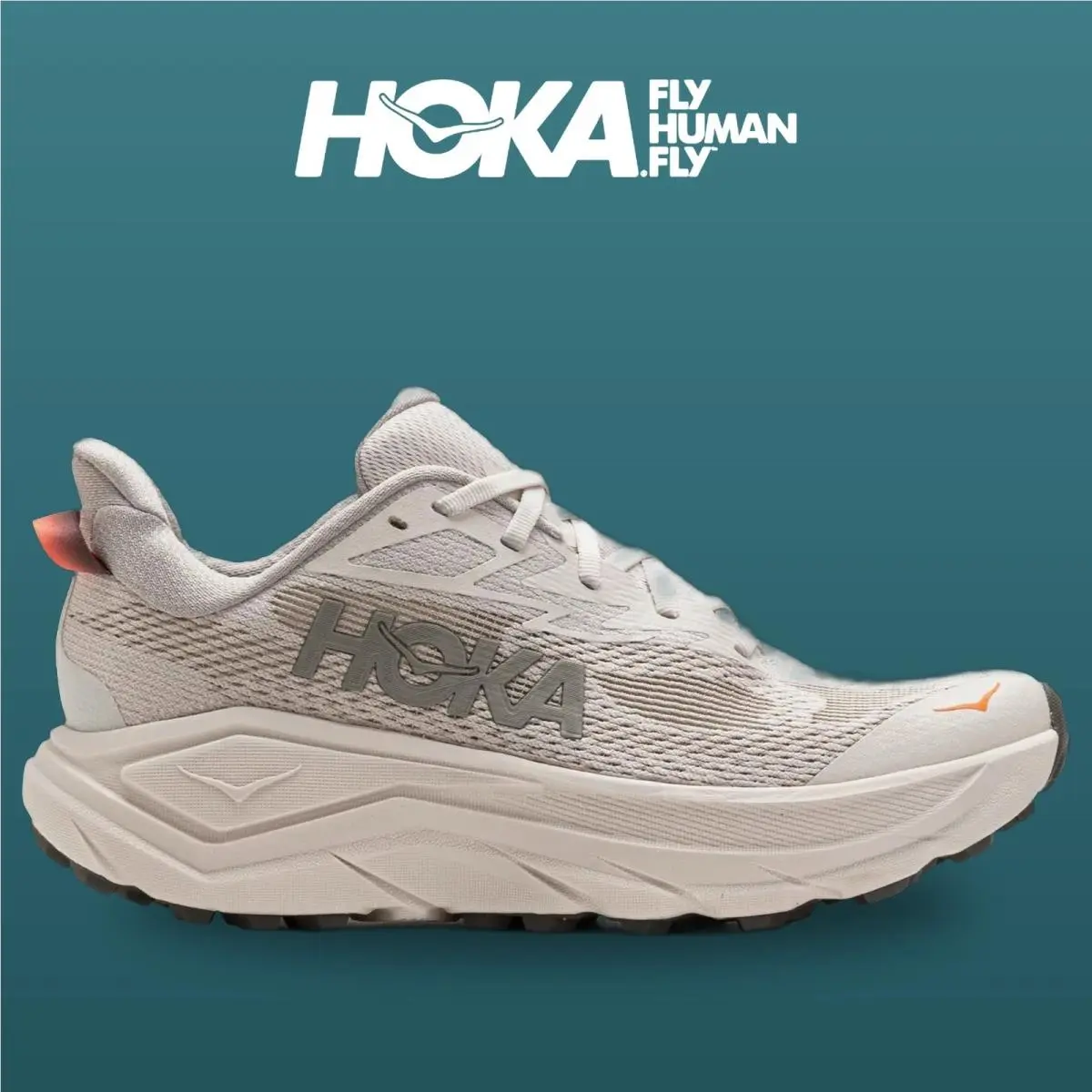 Hoka shoes - Challenger 8 - Challenger - 1168717-SPHL - Stucco/Asphalt Grey 10