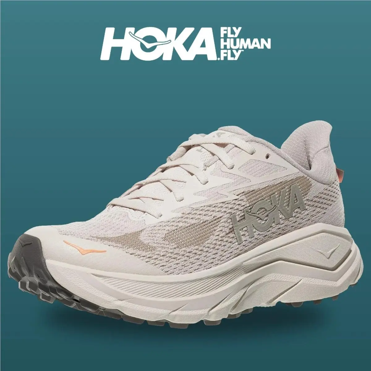 Hoka shoes - Challenger 8 - Challenger - 1168717-SPHL - Stucco/Asphalt Grey 11