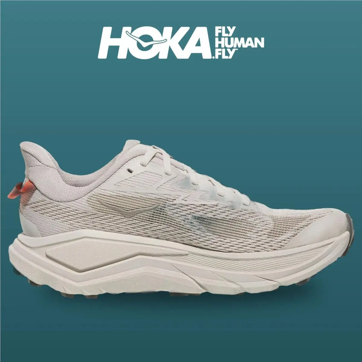 Hoka shoes - Challenger 8 - Challenger - 1168717-SPHL - Stucco/Asphalt Grey 13