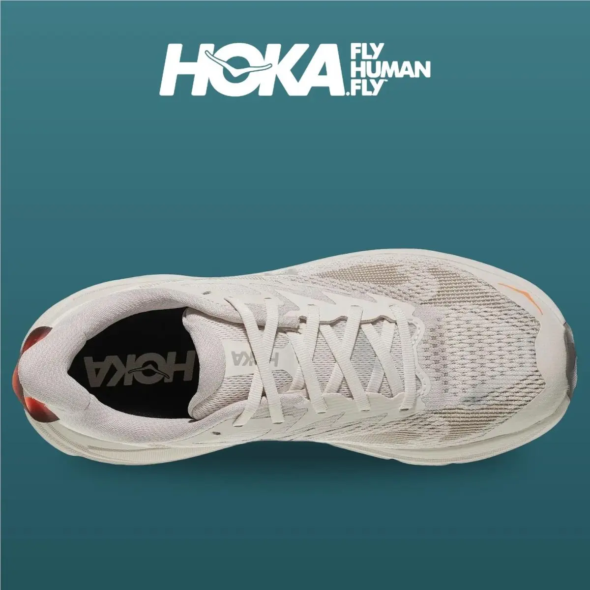 Hoka shoes - Challenger 8 - Challenger - 1168717-SPHL - Stucco/Asphalt Grey 15