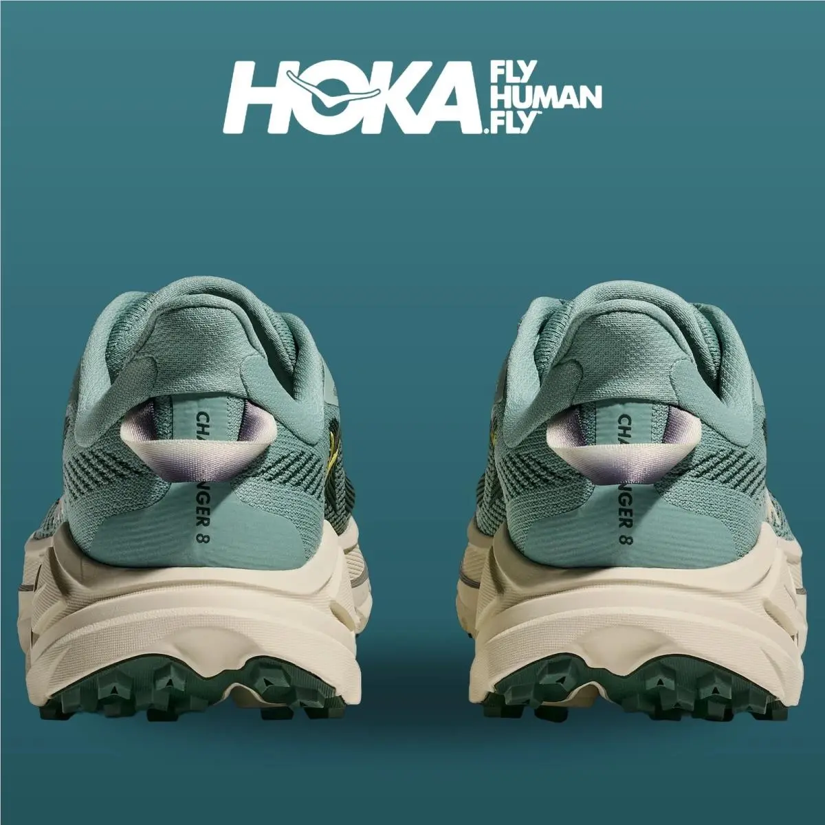 Hoka shoes - HOKA Challenger 8 Wide - Challenger Wide - 1168716-JDT - Jade/Truffle Salt 3