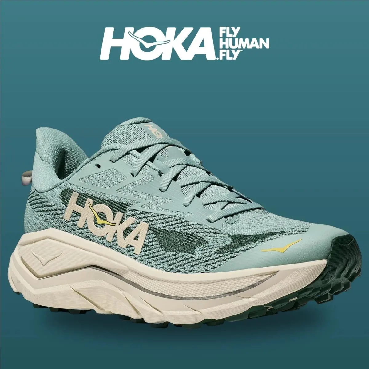 Hoka shoes - HOKA Challenger 8 Wide - Challenger Wide - 1168716-JDT - Jade/Truffle Salt 13