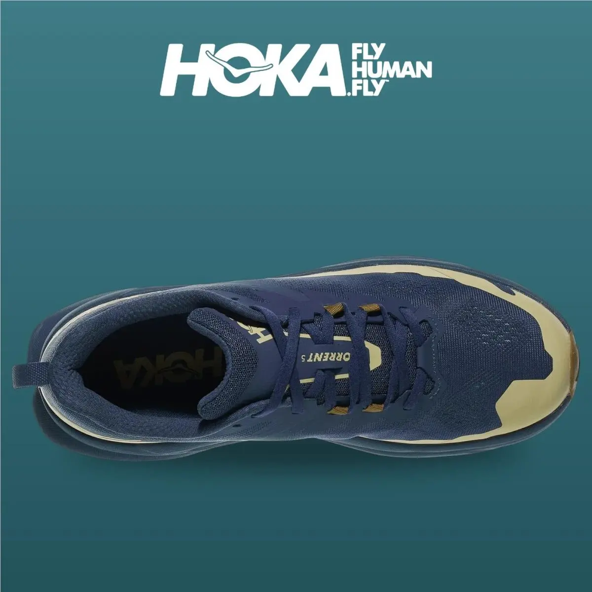Hoka shoes - Torrent 5 - Torrent - 1176650-VWY - Varsity Navy/Caraway Seed 8