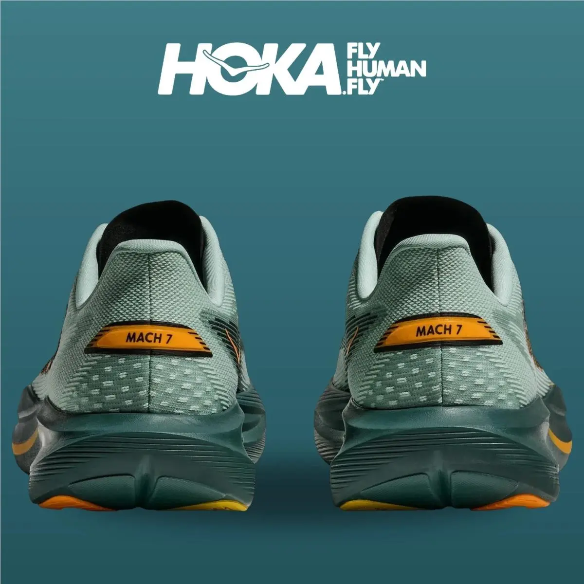 Hoka shoes - Mach 7 - Mach - 1171904-SBY - Sage/Bay Leaf 3
