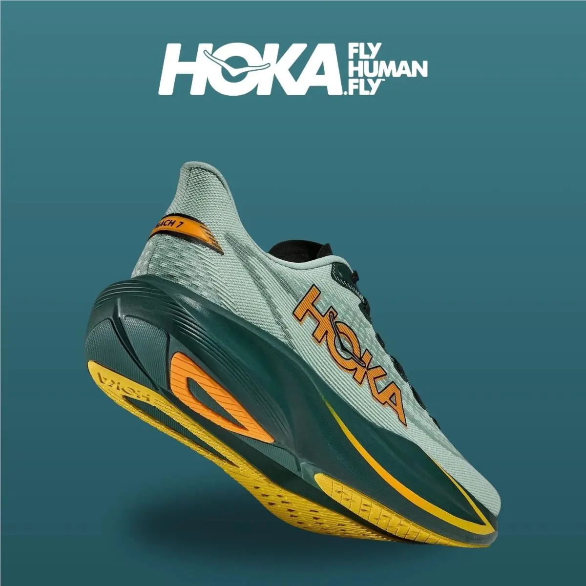 Hoka shoes - Mach 7 - Mach - 1171904-SBY - Sage/Bay Leaf 6