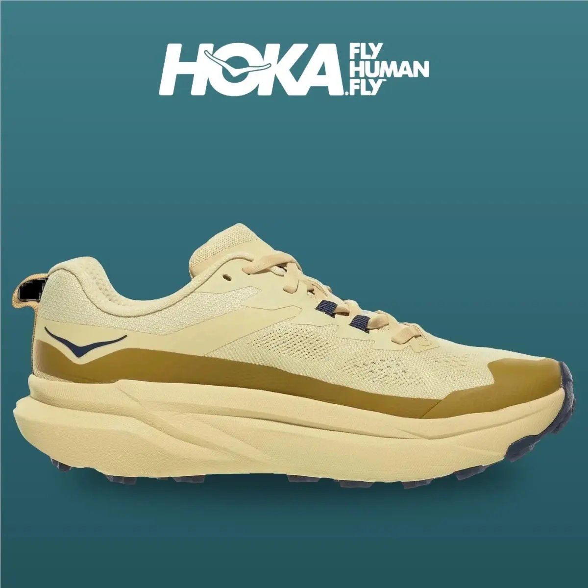 Hoka shoes - Torrent 5 - Torrent - 1176634-BRMS - Barley Flour/Mustard Seed 1