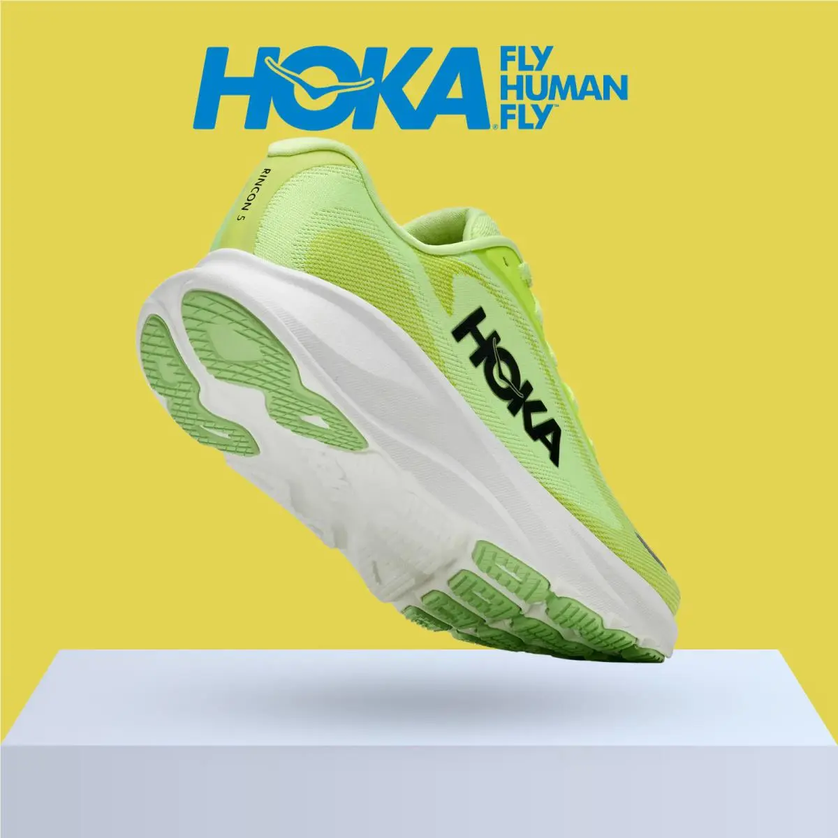 Hoka shoes - Hoka One One Rincon 5 - Alabaster/Mineral Blue 38