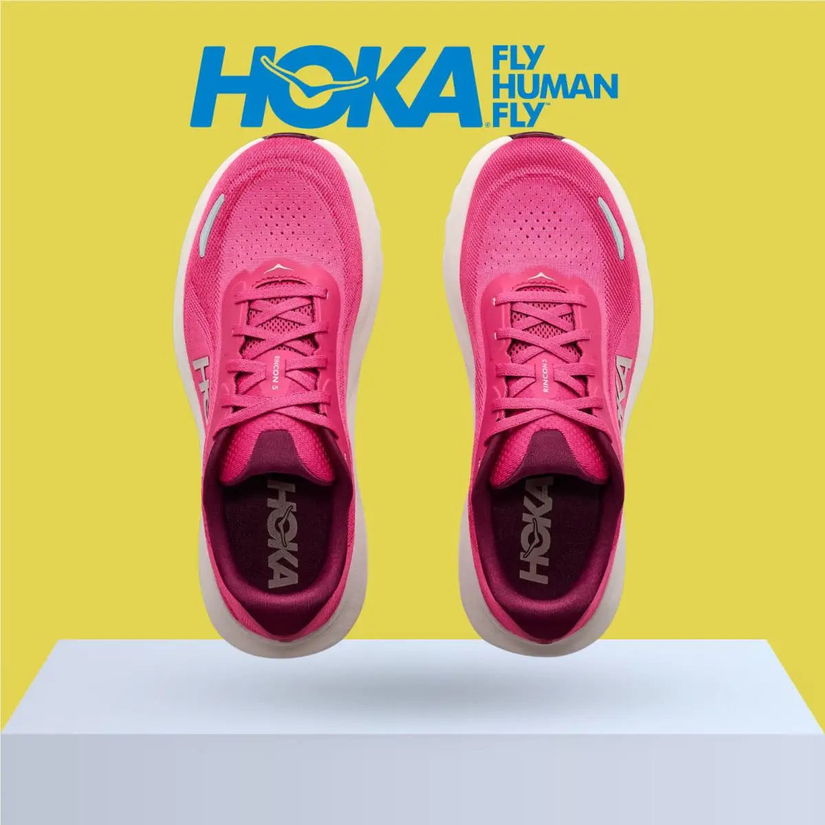 Hoka shoes - Hoka One One Rincon 5 - Alabaster/Mineral Blue 42