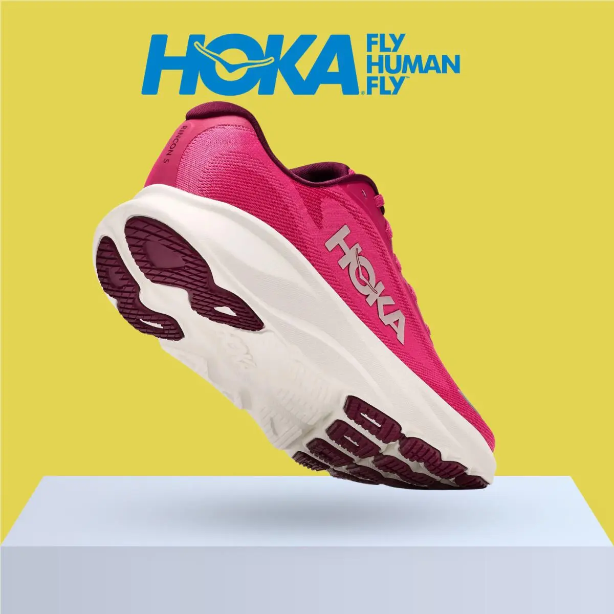 Hoka shoes - Hoka One One Rincon 5 - Alabaster/Mineral Blue 43