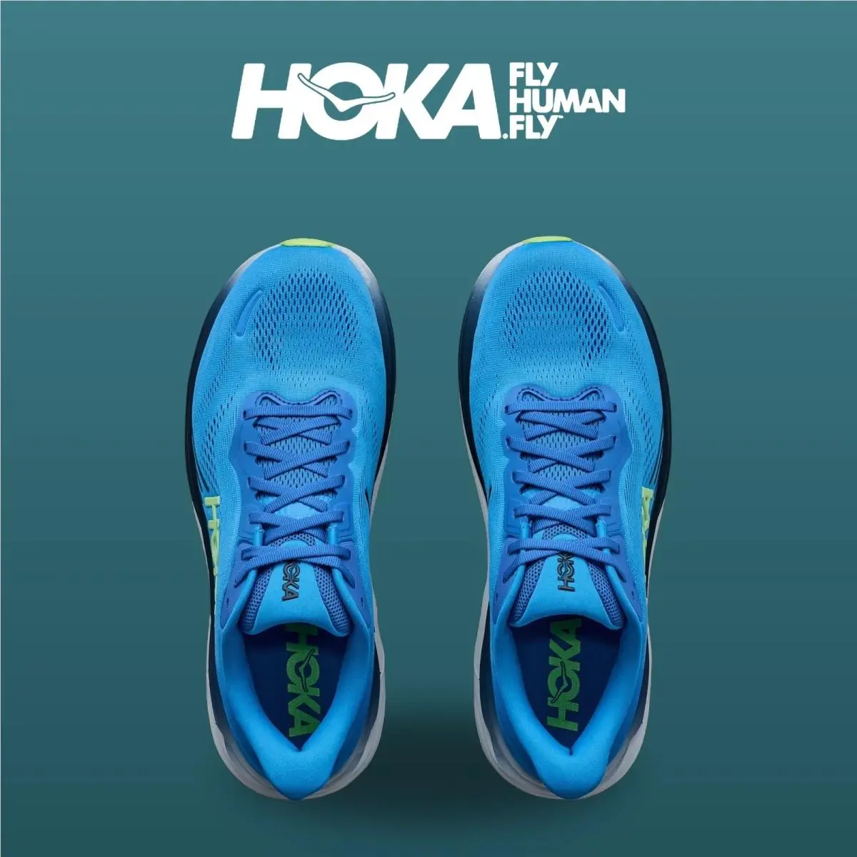 Hoka shoes - Clifton 11 - Clifton - 1176572-VSF - Virtual Blue/Soft Cobalt 0