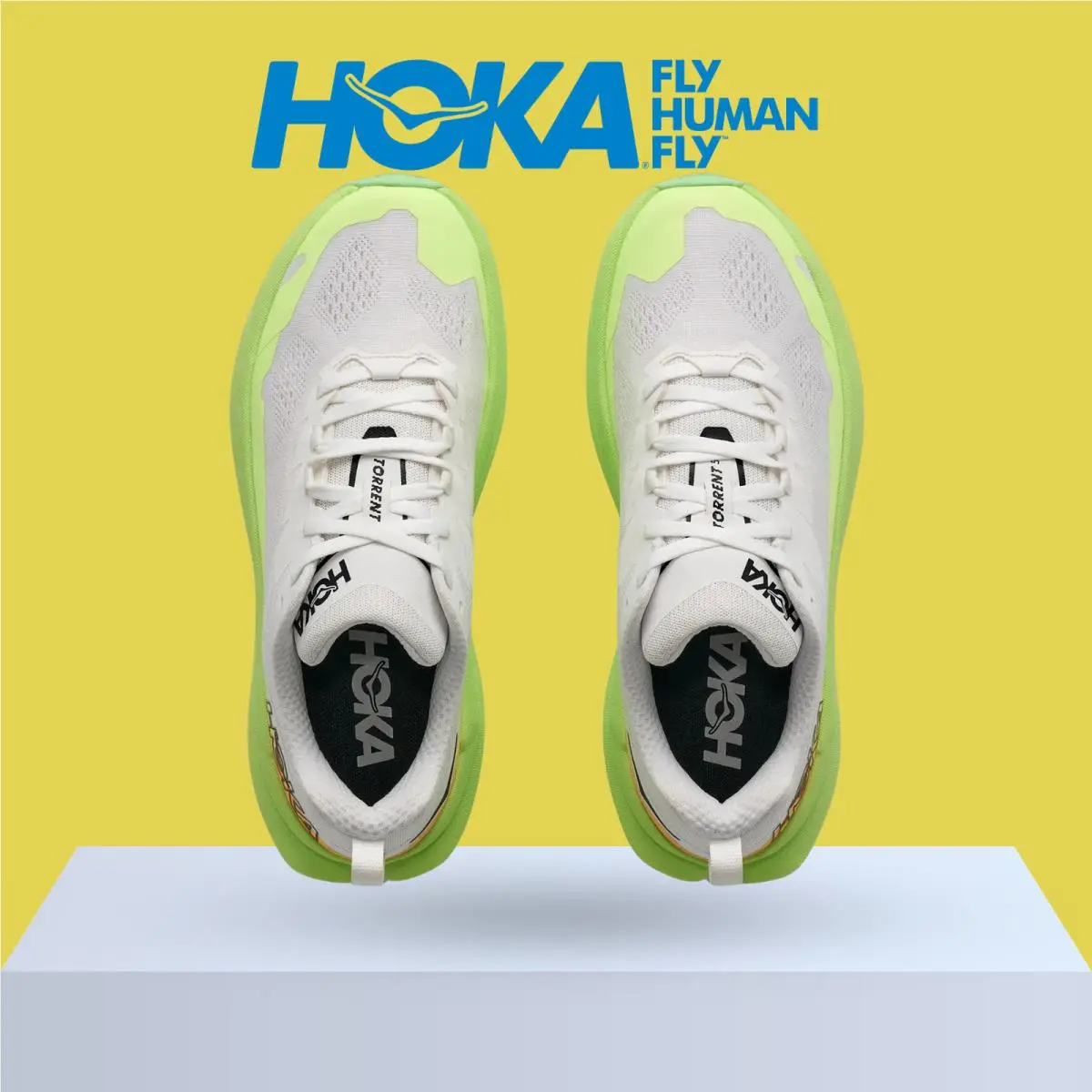 Hoka shoes - Hoka One One Torrent 5 - Alabaster/Burnt Red 22