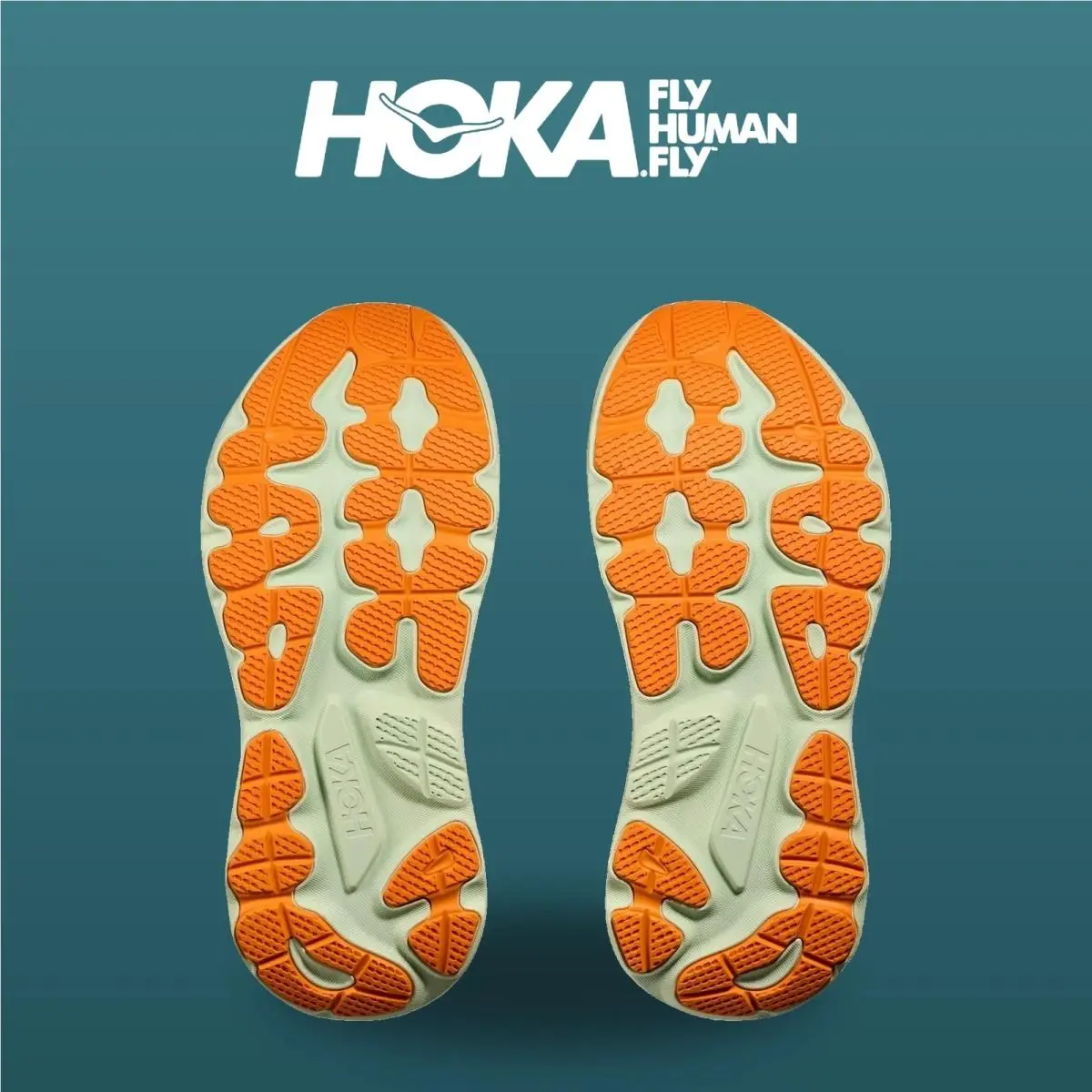 Hoka shoes - Gaviota 6 - Gaviota - 1171932-BLFT - Bay Leaf/Tidal Wave 1