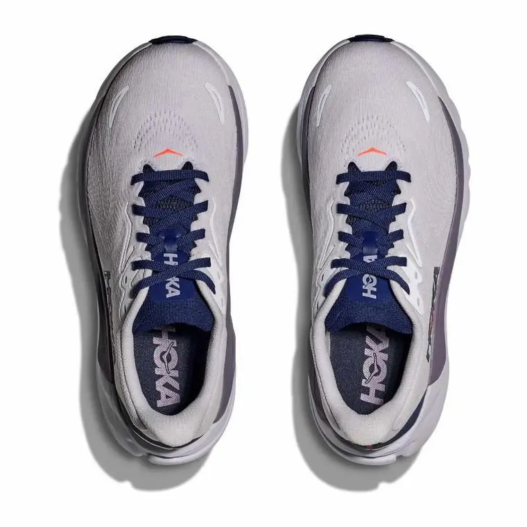 Hoka shoes - Purple 2