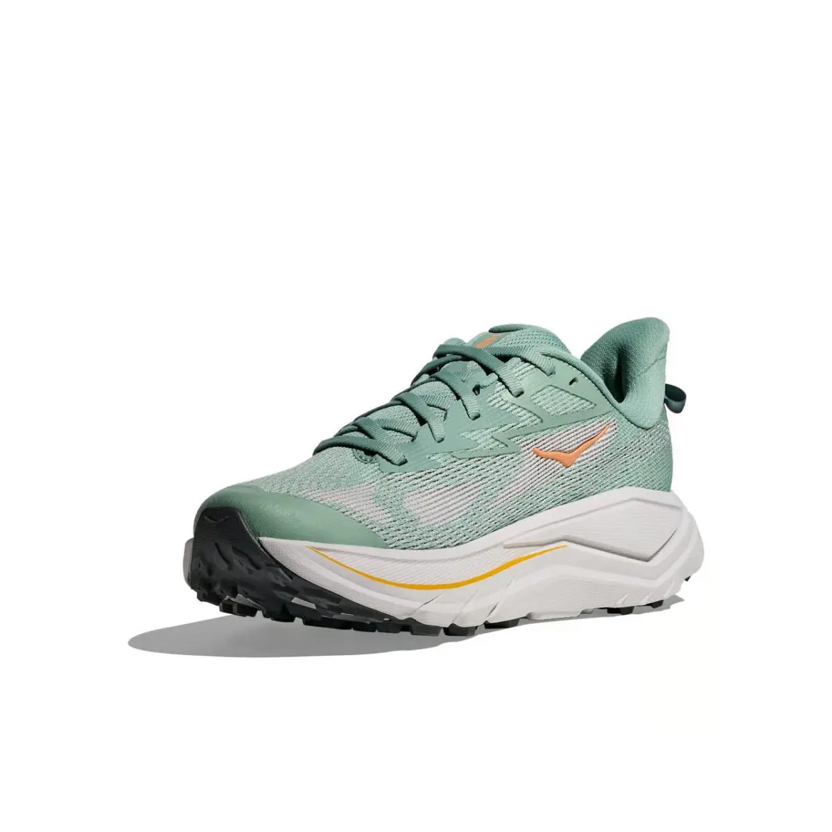 Hoka shoes - Blue 0