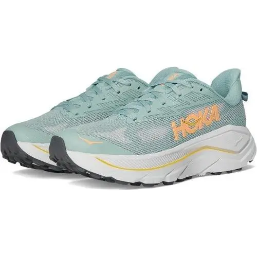 Hoka shoes - Blue 1