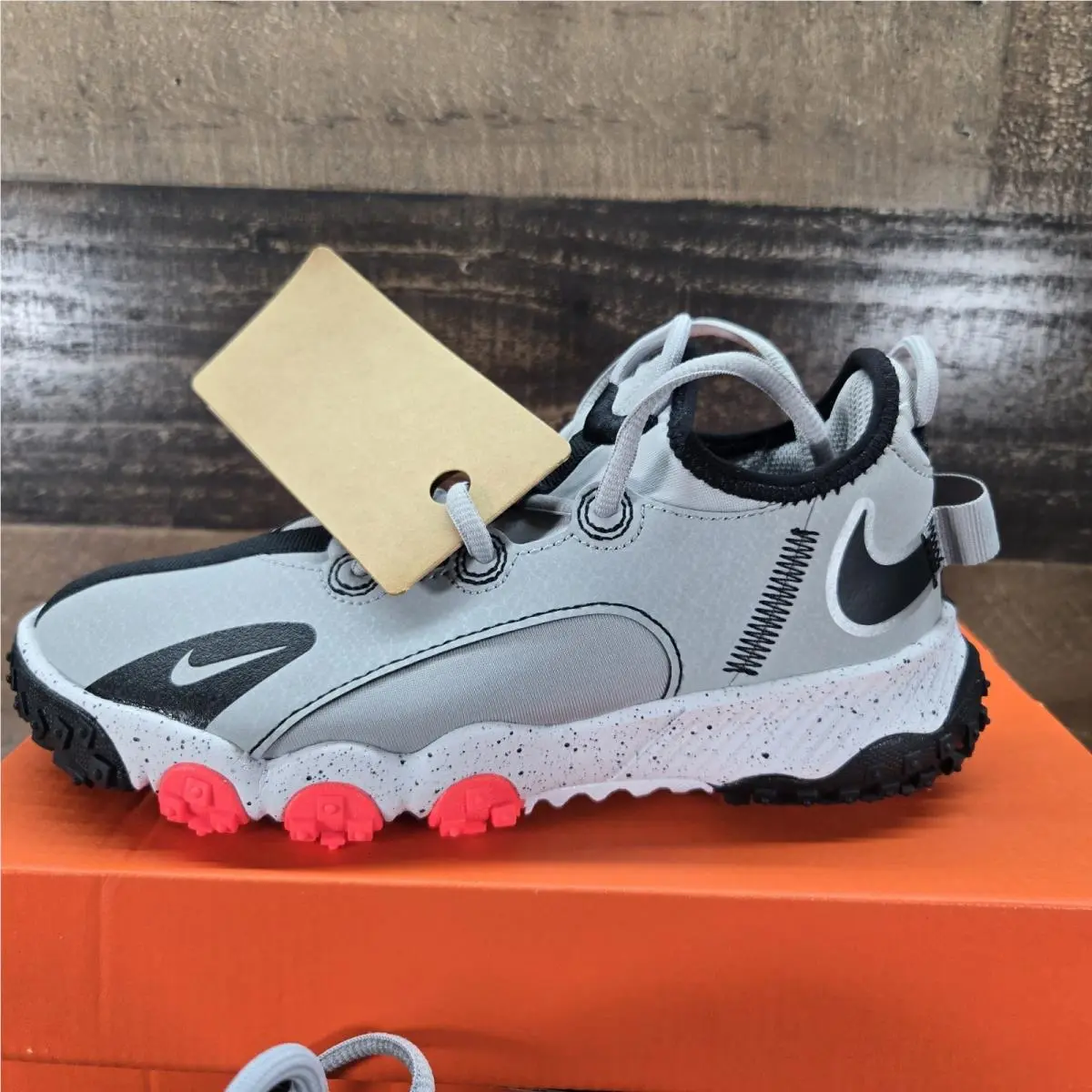 Nike shoes - Nike ACG Mountain Fly Low SE - Gray 0
