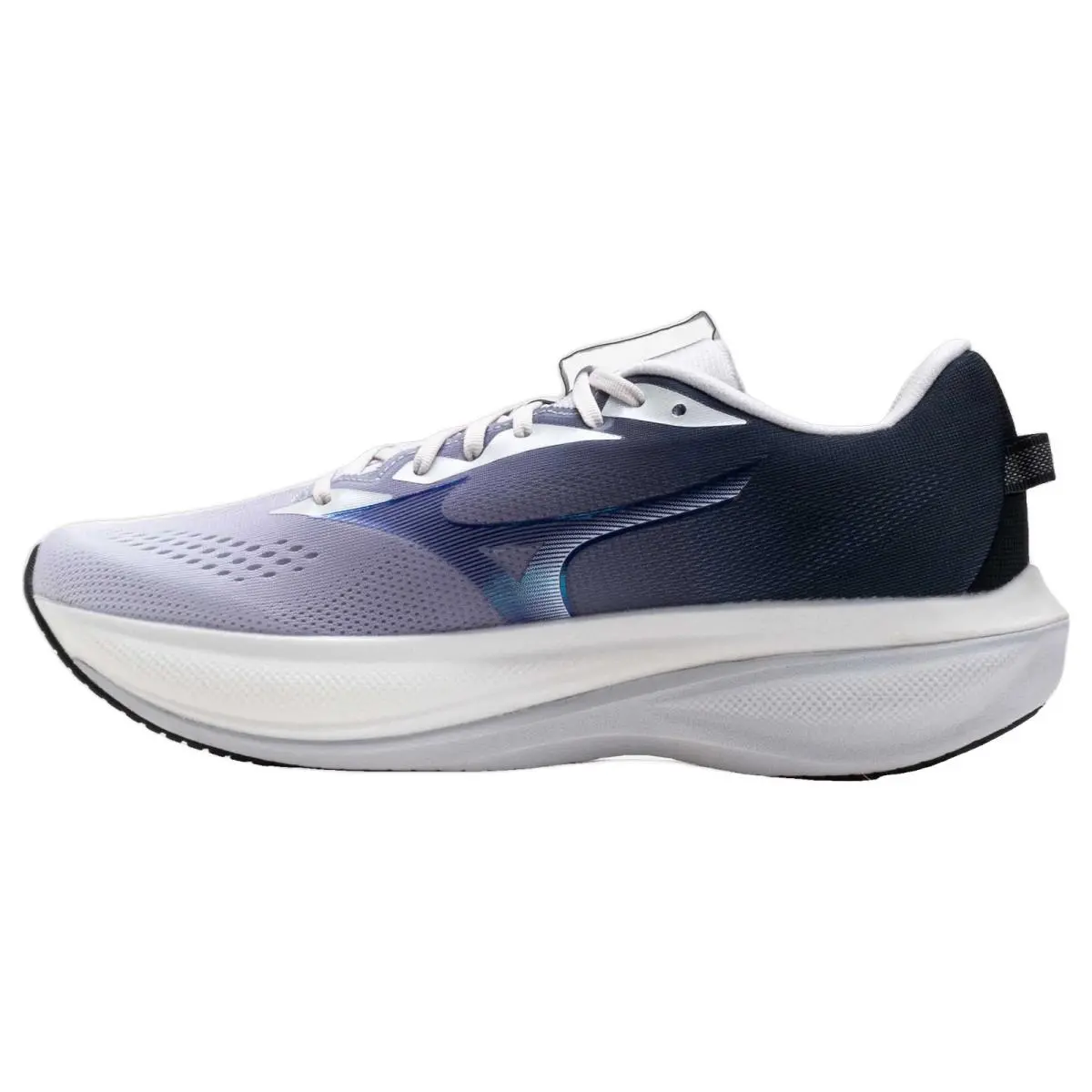 Mizuno shoes - Mizuno Wave Rider 30 - Wave Rider - 411618669F - Lilac Hint/Vulcan 0
