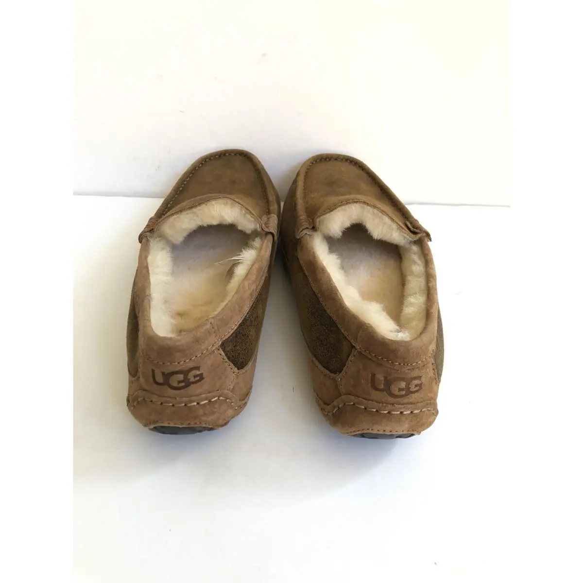 UGG shoes - UGG ASCOT BOMBER - ASCOT BOMBER - BOMBER CHESTNUT 2
