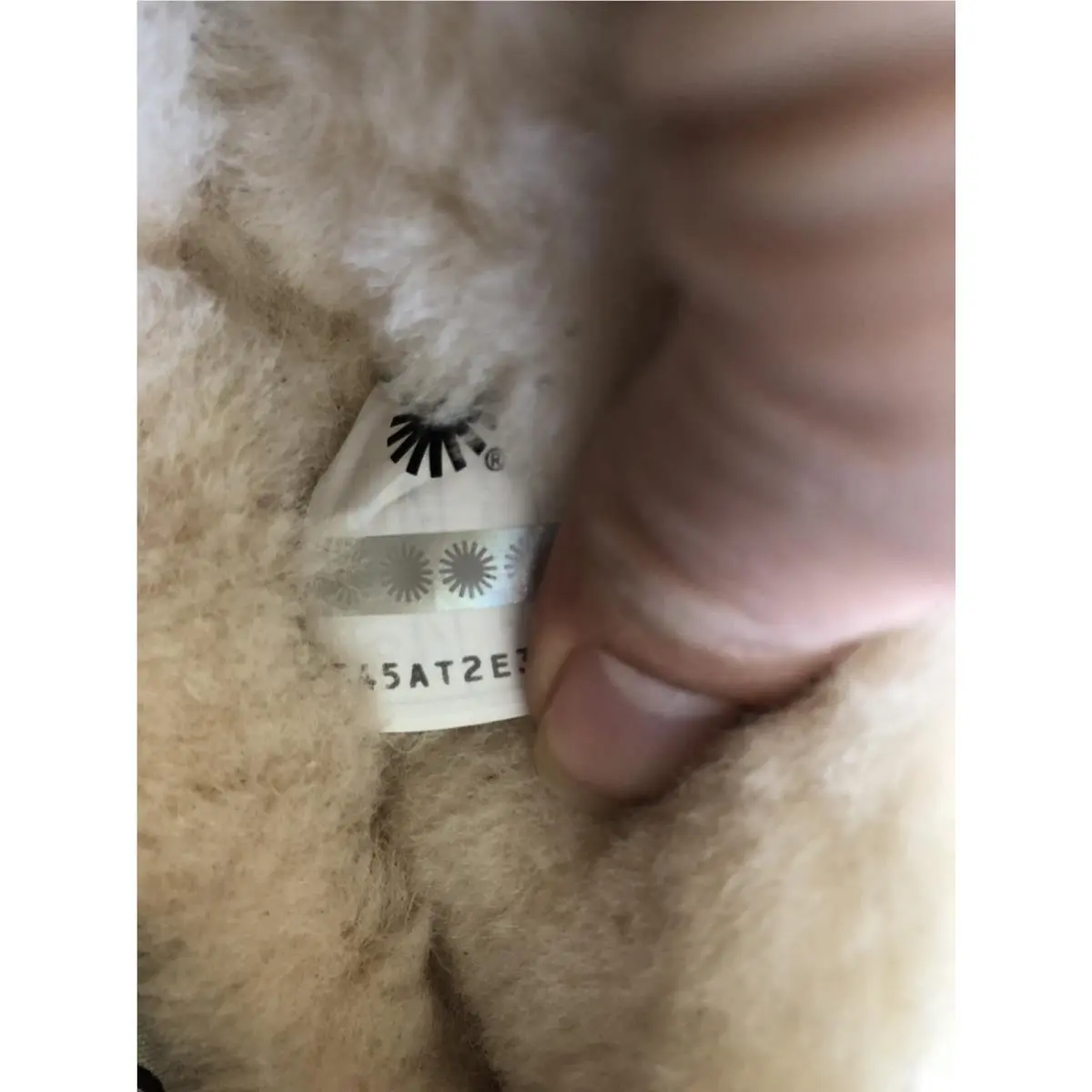 UGG shoes - UGG ASCOT - ASCOT - Moss Green 4