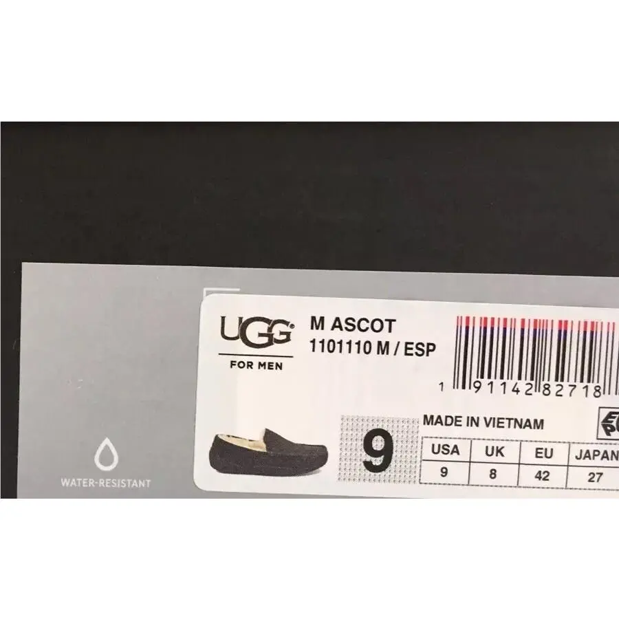 UGG shoes - UGG ASCOT - ASCOT - ESPRESSO 6