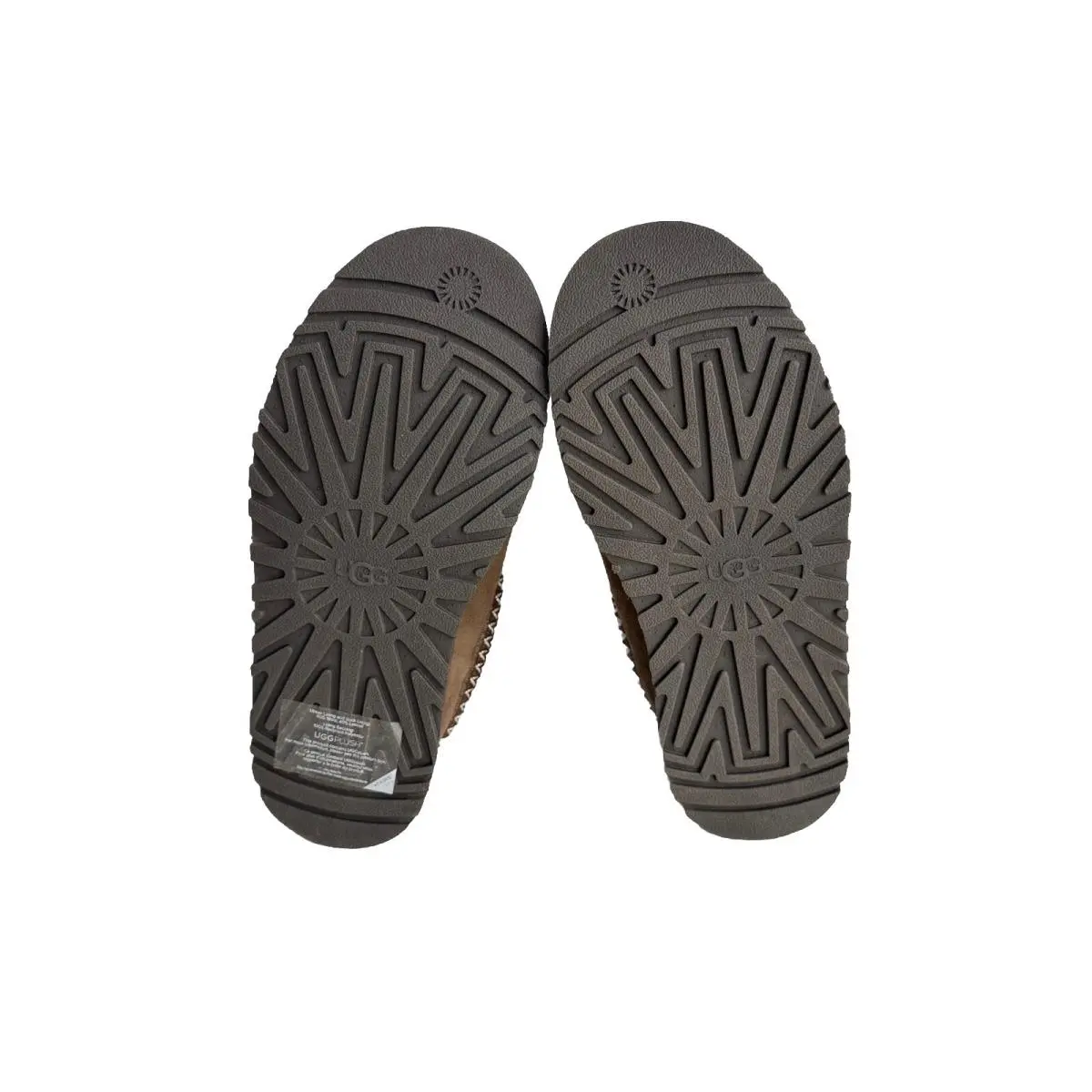 UGG shoes - UGG TAZZ - TAZZ - HICKORY 3