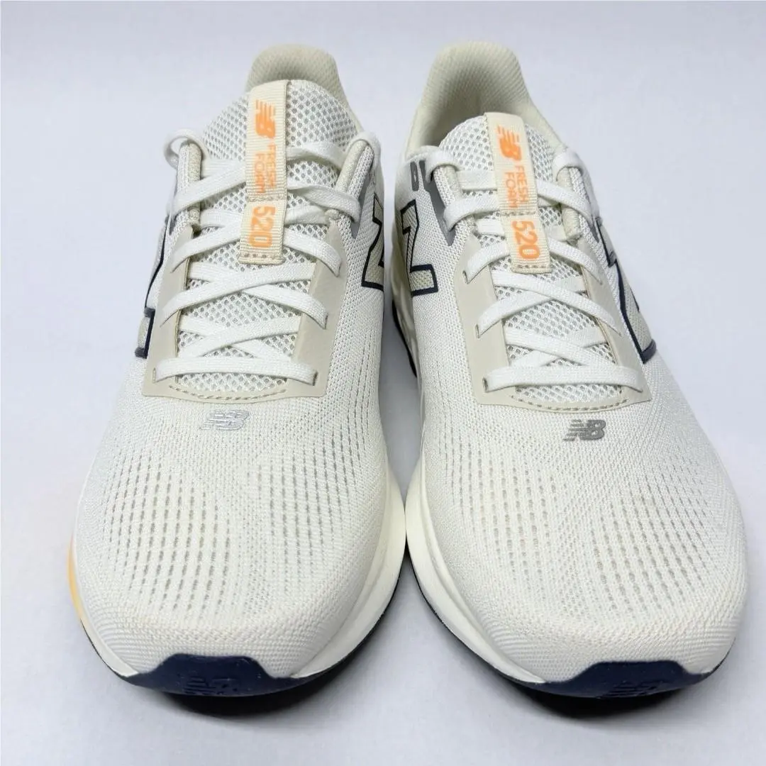 New Balance shoes - New Balance 520 - White 1