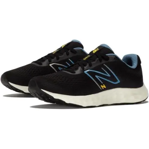 New Balance shoes - New Balance 520 - Black 1