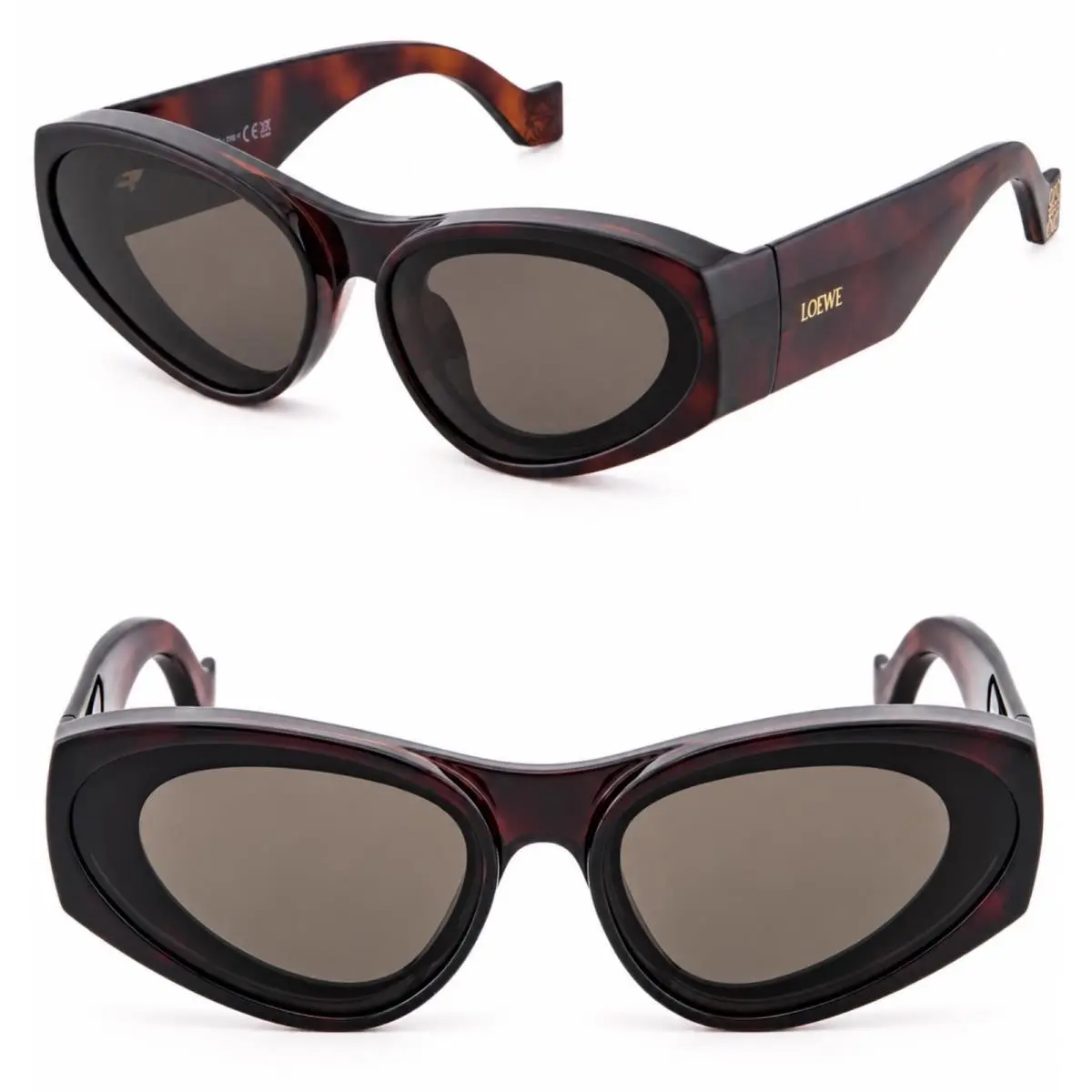 LW40171U Paula Ibiza Cat Brown Havana 40171 Unisex Chunky Sunglass 52E by Loewe