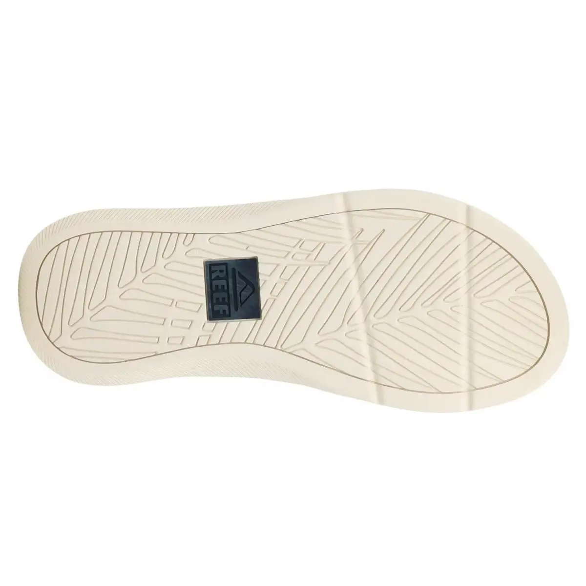 Reef shoes - Taupe/Navy/Off White 4