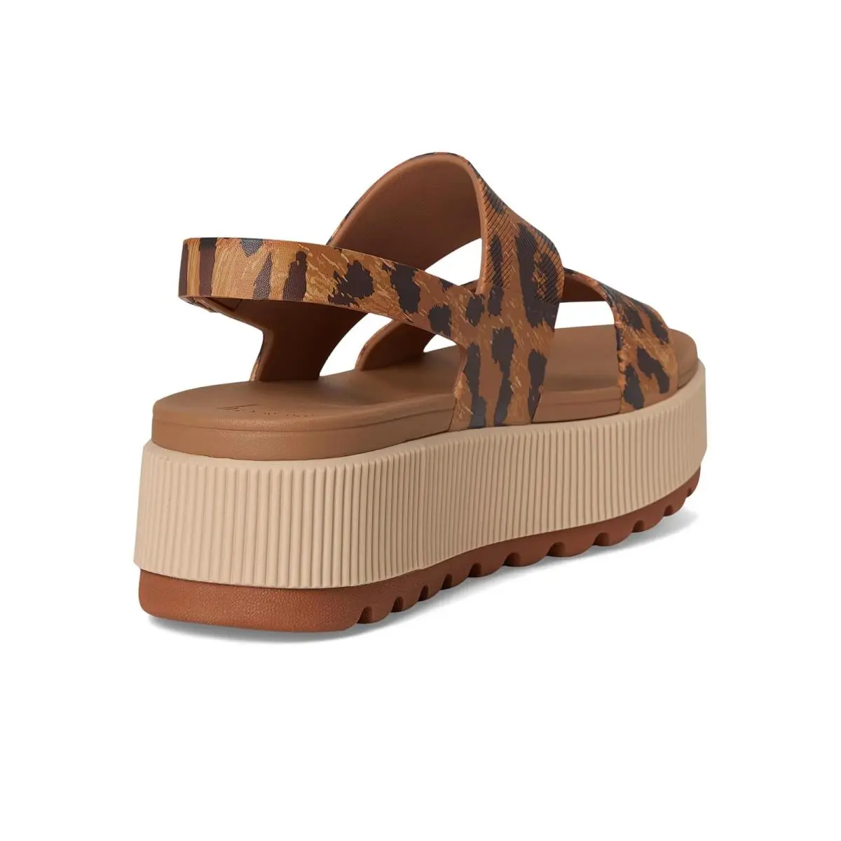 Reef shoes - Aqua/Chocolate 43