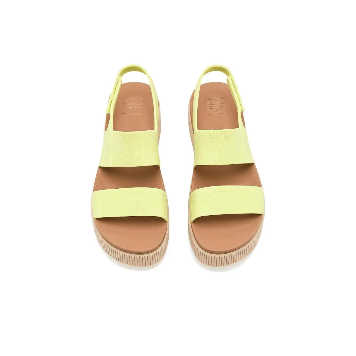 Reef shoes - Aqua/Chocolate 47