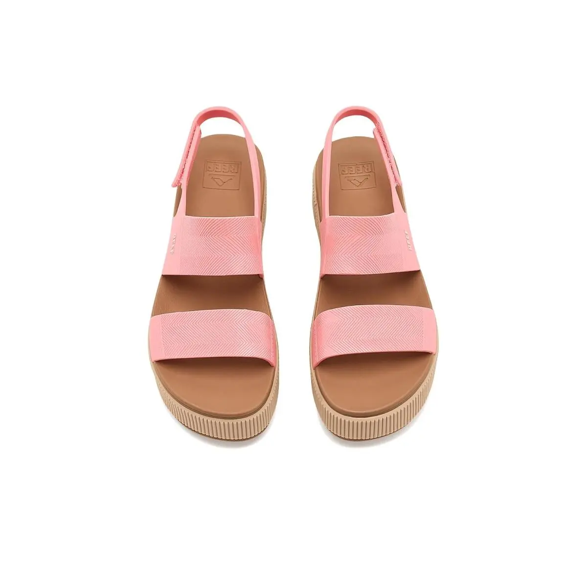 Reef shoes - Aqua/Chocolate 54