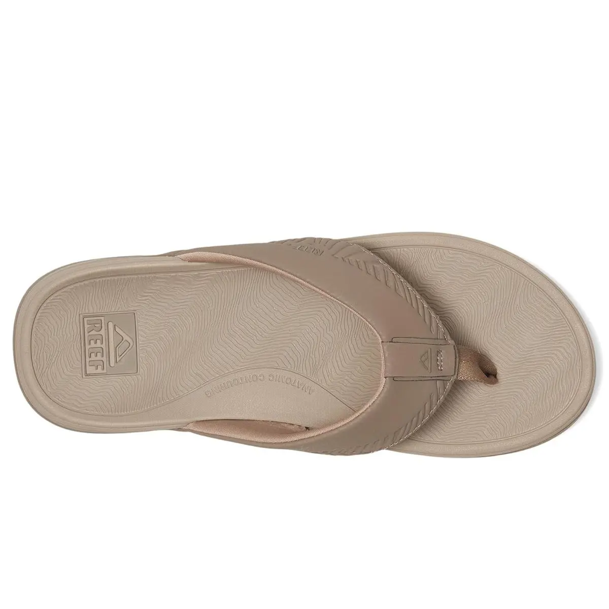 Reef shoes - Fossil/Tan 7