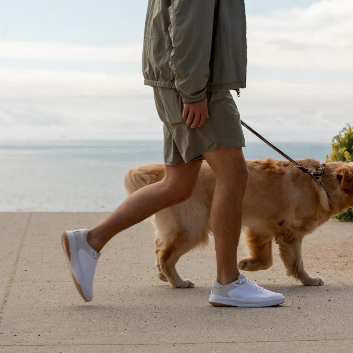 Reef shoes - Shoreline Del Mar - Shoreline Del Mar - White (UPC: 196985637383) 5