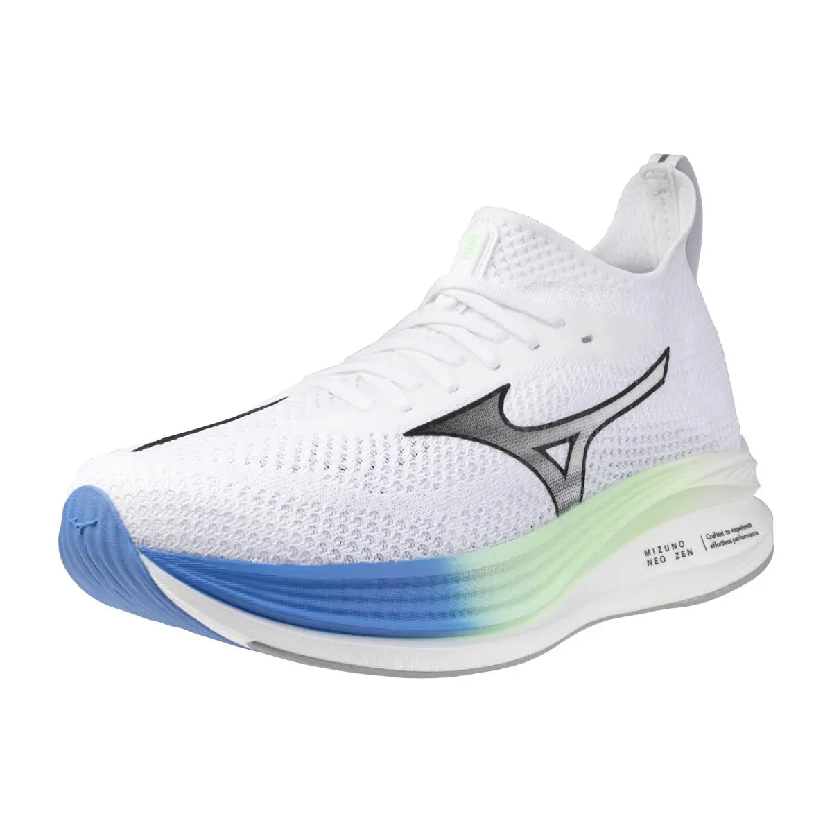 Mizuno shoes - 411495.0090 - 411495 - black-raspberry 28
