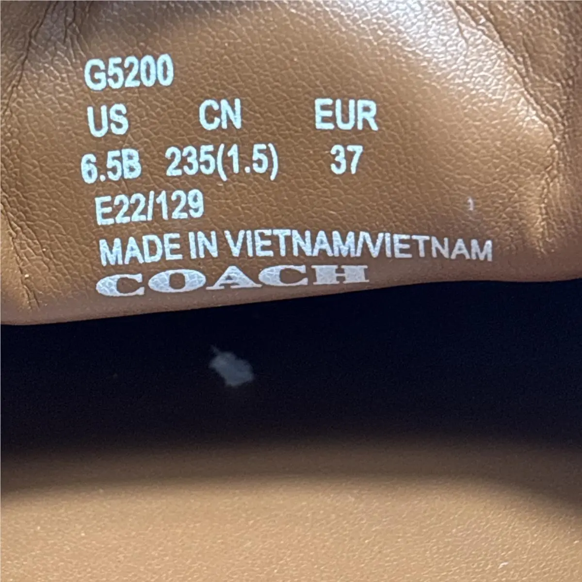 Coach shoes - Champagne 12