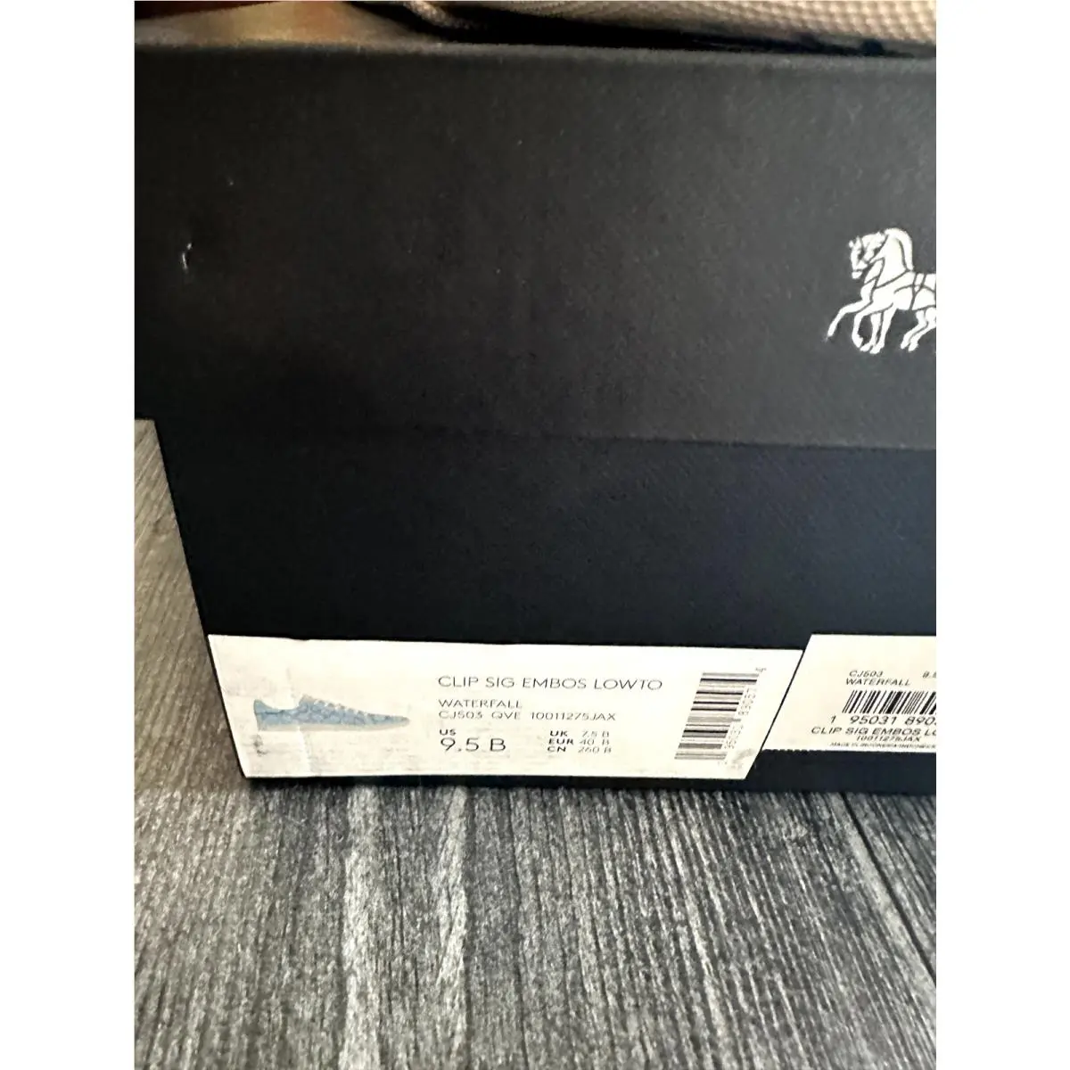 Coach shoes - Blue 6