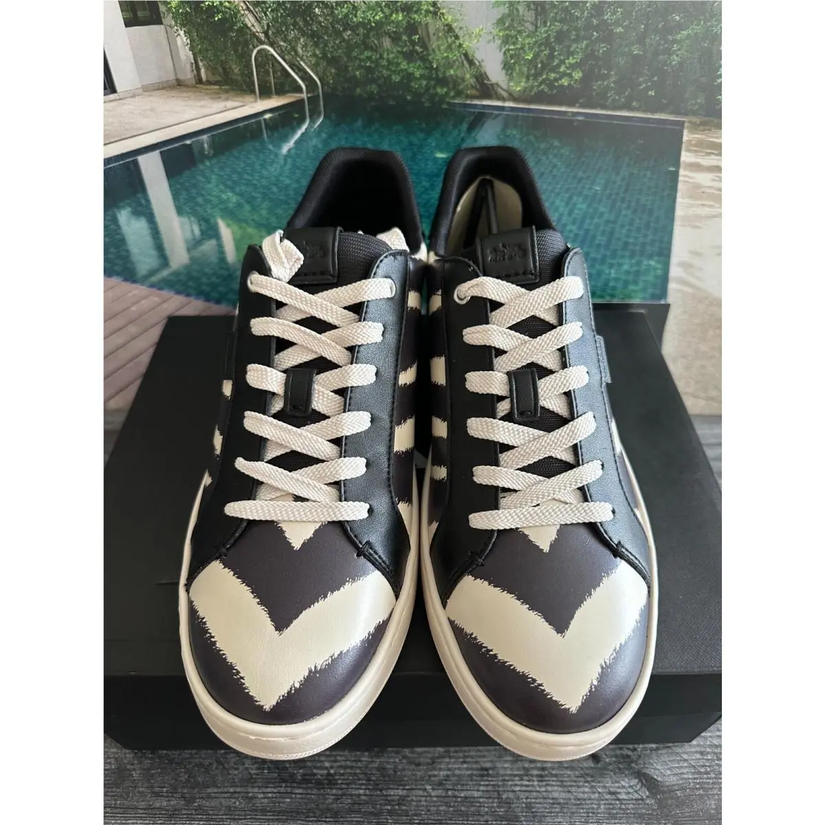 Coach shoes - Multicolor 1