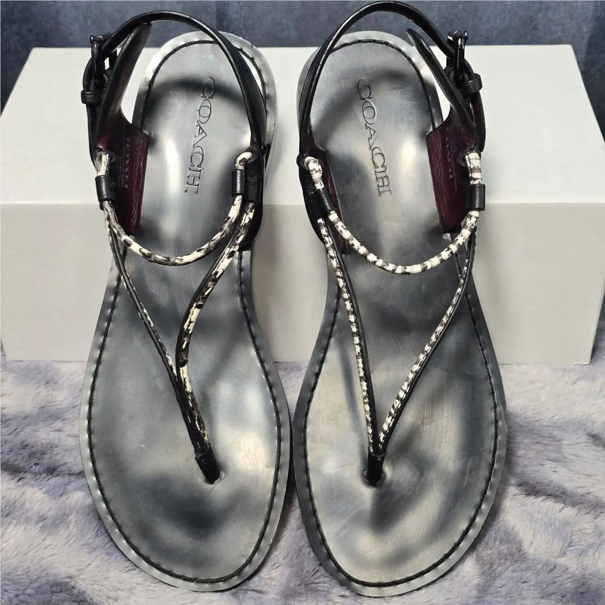 Coach shoes - Clarkson - Clarkson - Black 3