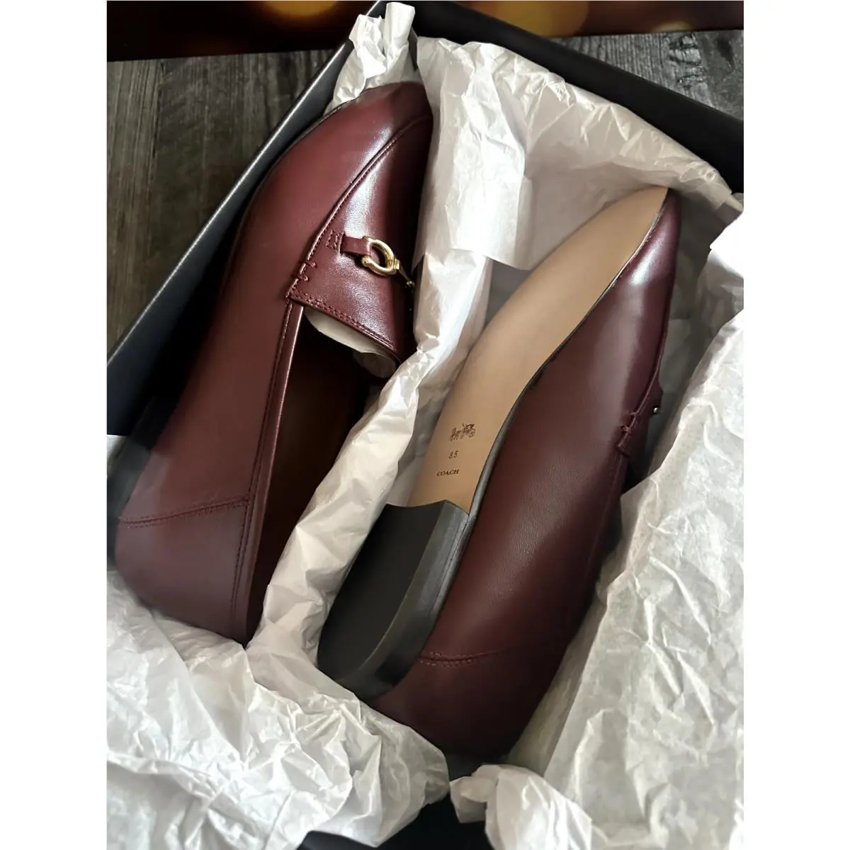 Coach shoes - WINE 6