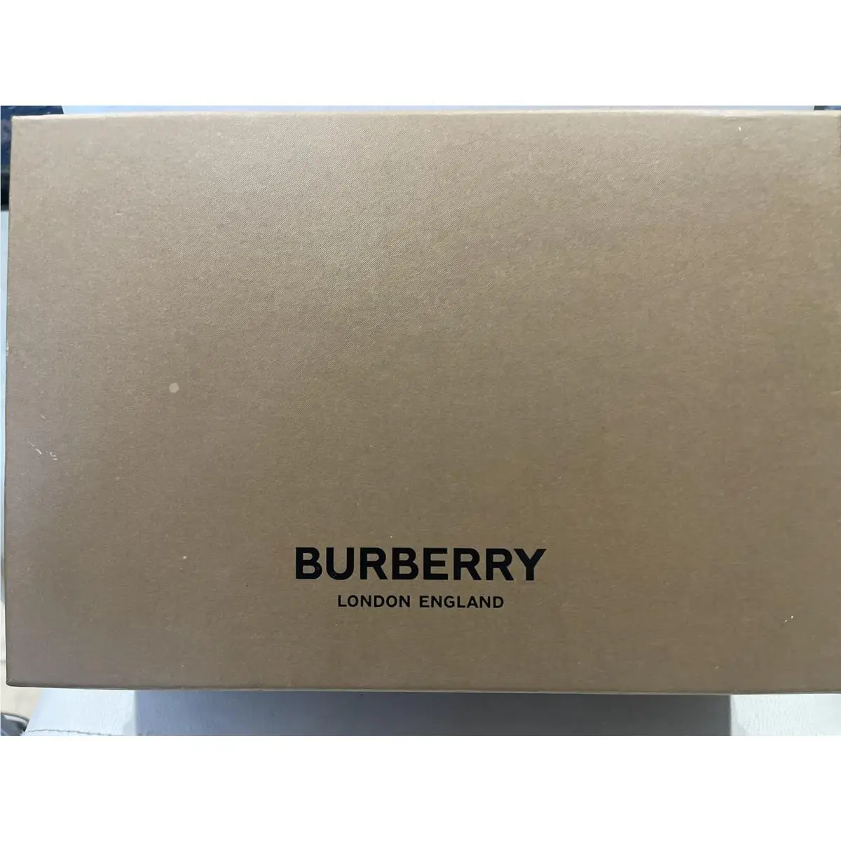 Burberry shoes - Pebble Blue 6