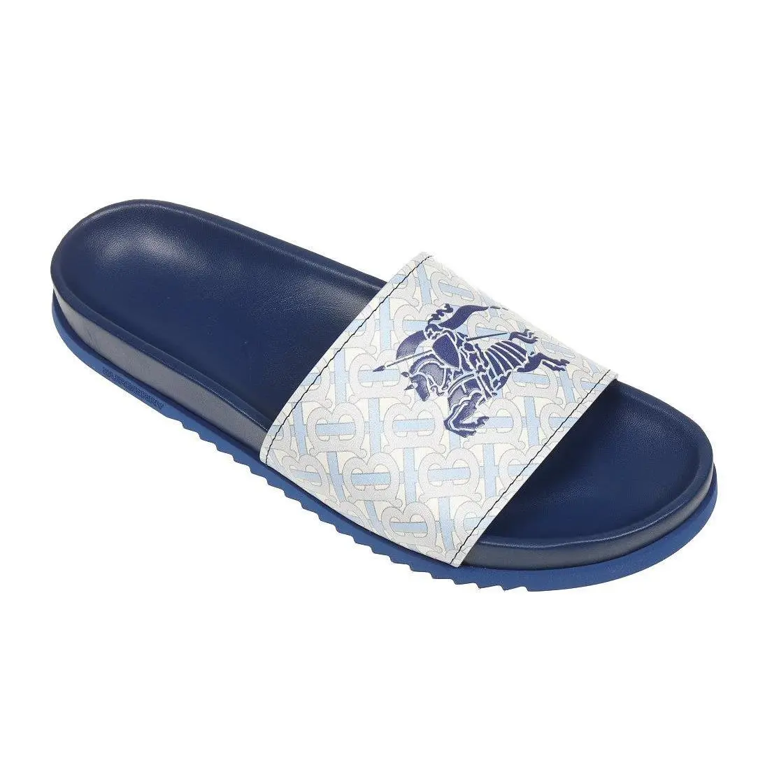 Burberry shoes - Blue 2