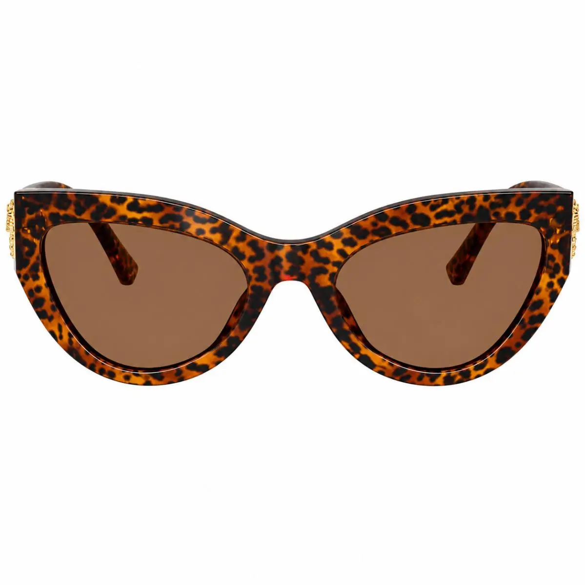 Dolce Gabbana DG 4536 347073 Leo Transparent Plastic Sunglasses Brown Lens by Dolce & Gabbana