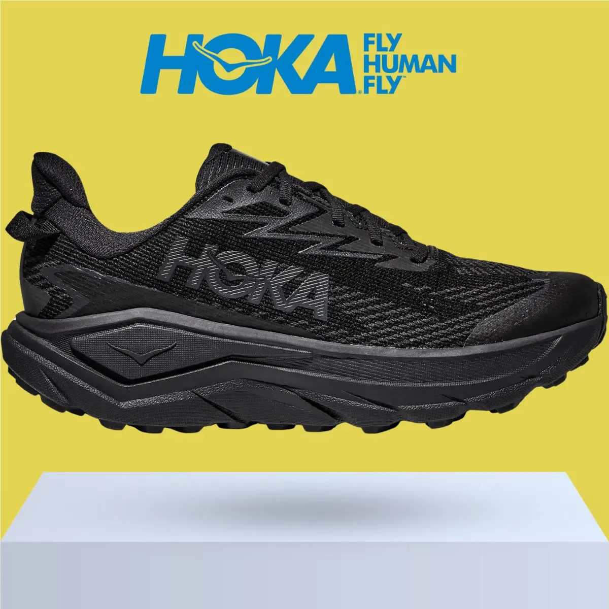 Hoka shoes - Hoka One One Challenger 8 GTX - Antique Olive/Black 9