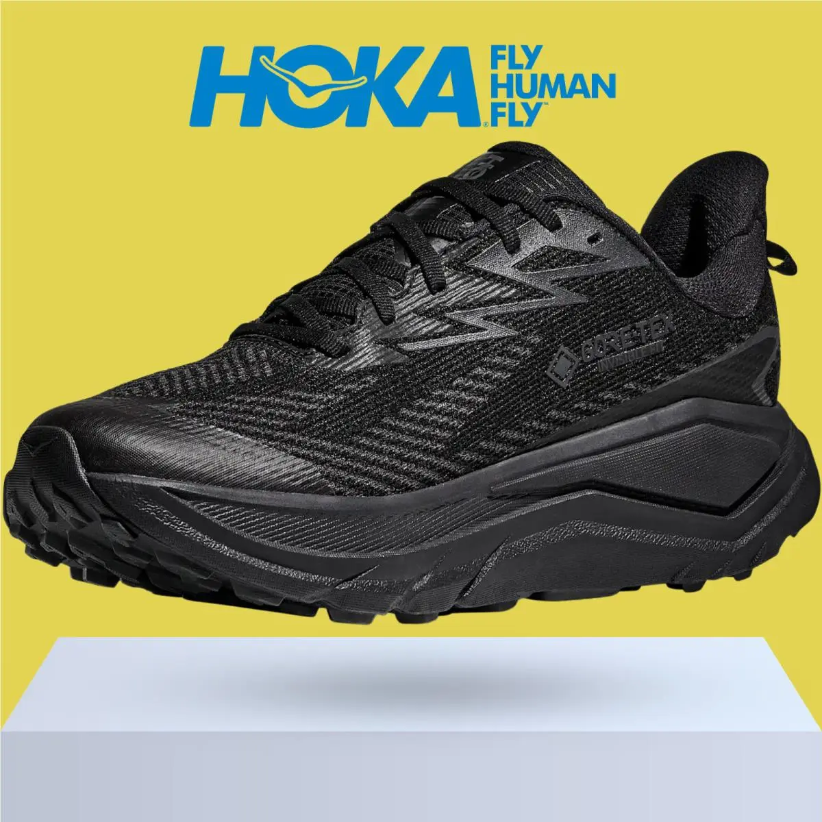 Hoka shoes - Hoka One One Challenger 8 GTX - Antique Olive/Black 10