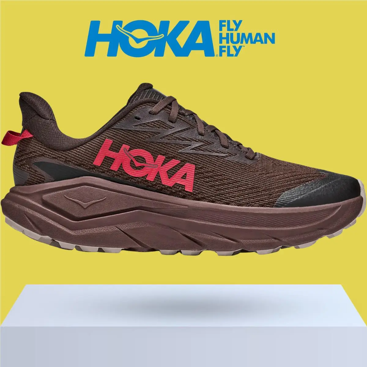 Hoka shoes - Hoka One One Challenger 8 GTX - Antique Olive/Black 14