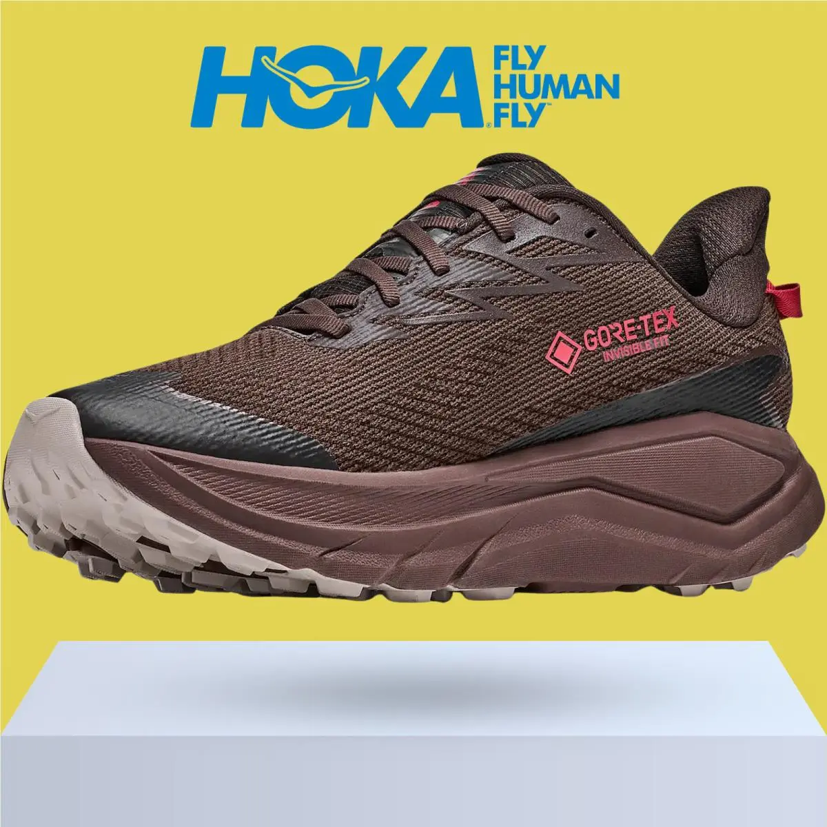 Hoka shoes - Hoka One One Challenger 8 GTX - Antique Olive/Black 15
