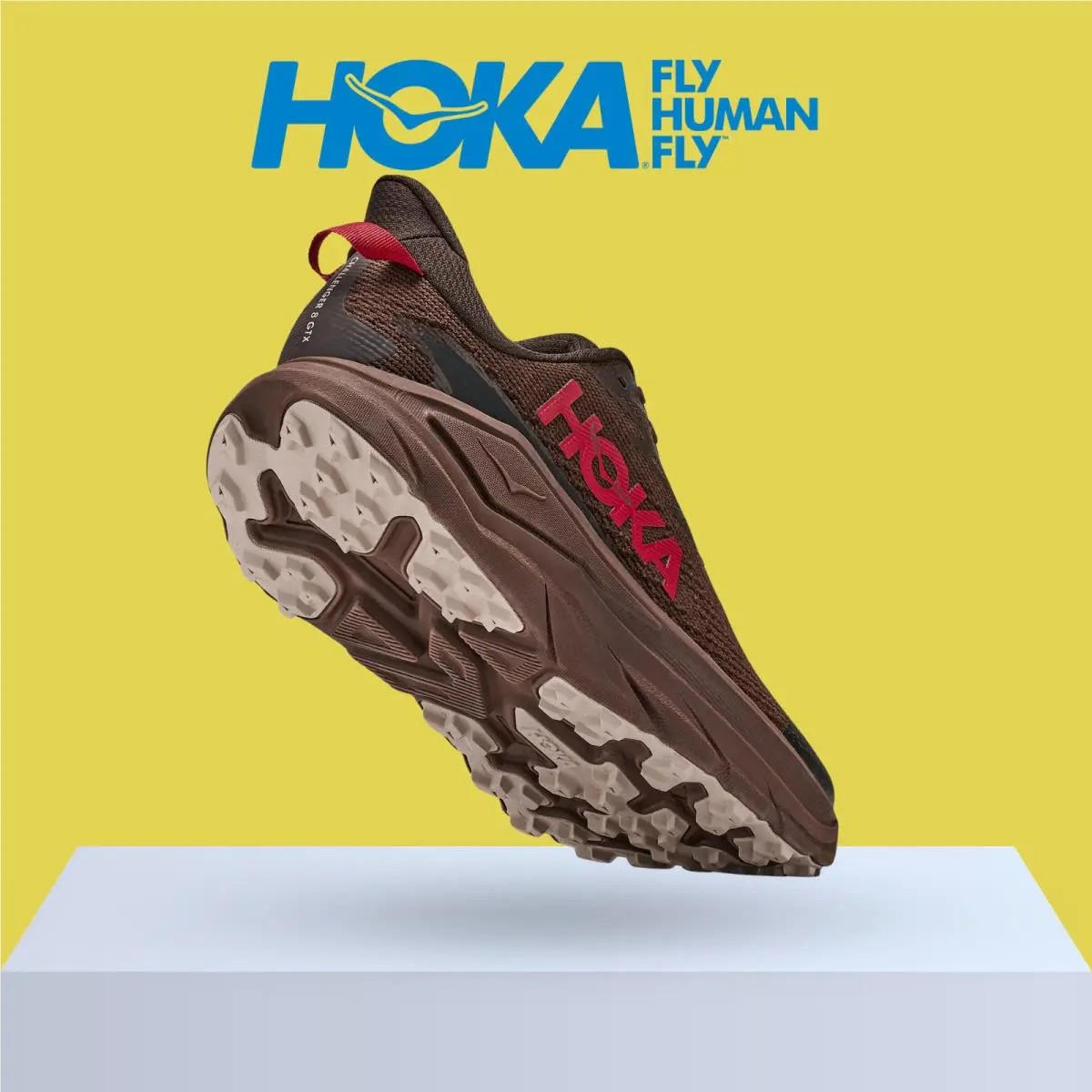 Hoka shoes - Hoka One One Challenger 8 GTX - Antique Olive/Black 18